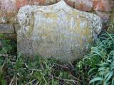 image number Partridge Daisy 081